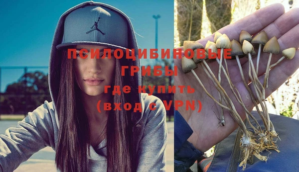 гидра Абинск