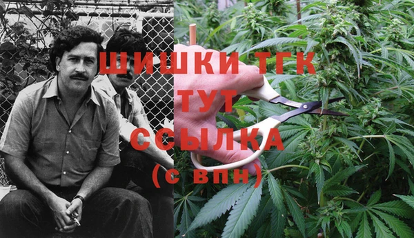 гидра Абинск